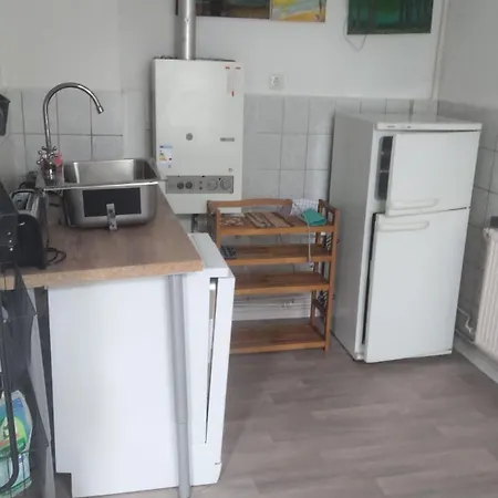 Mit Garten In Zentrum Apartment *
